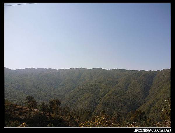 R0038357.jpg R0038357.jpg