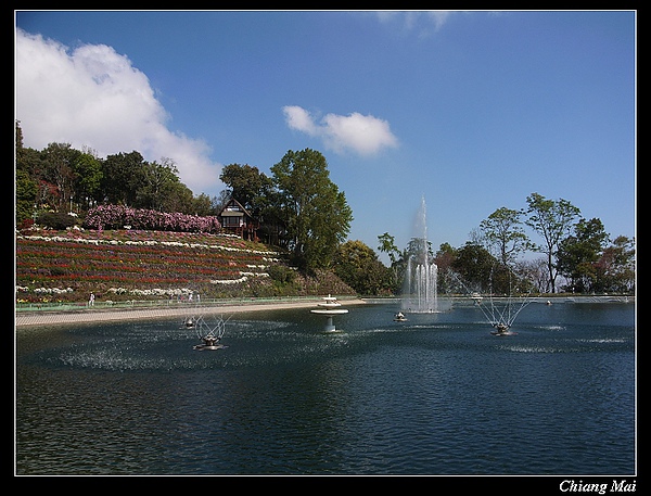 R0035548.JPG R0035548.JPG