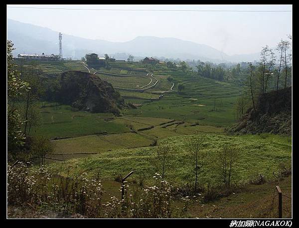 R0038407.jpg R0038407.jpg