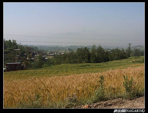 R0038382.jpg R0038382.jpg