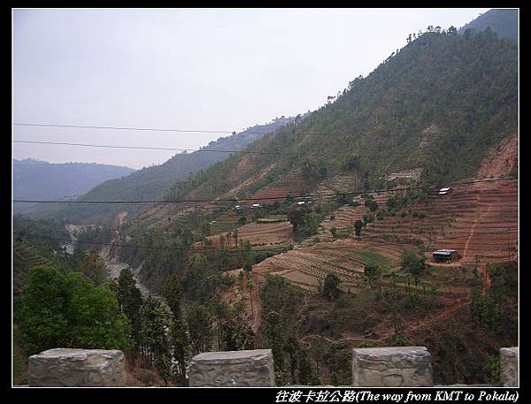 R0037496.JPG R0037496.JPG