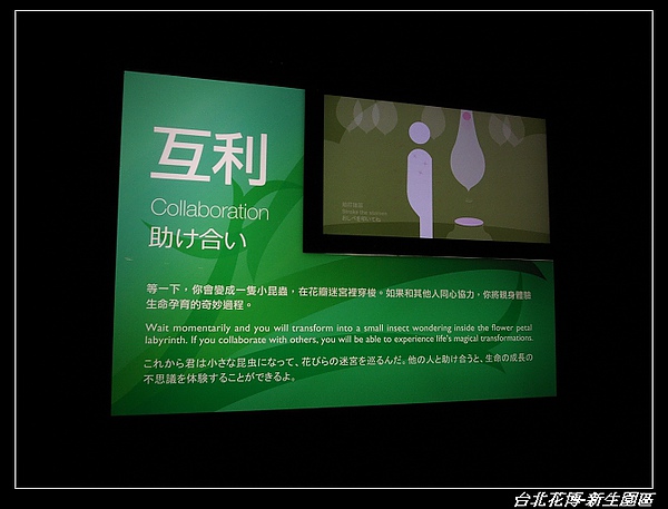 nEO_IMG_R0036917.jpg nEO_IMG_R0036917.jpg