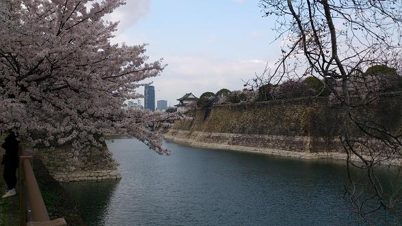 [2014-04-04] 大阪城公園 その1