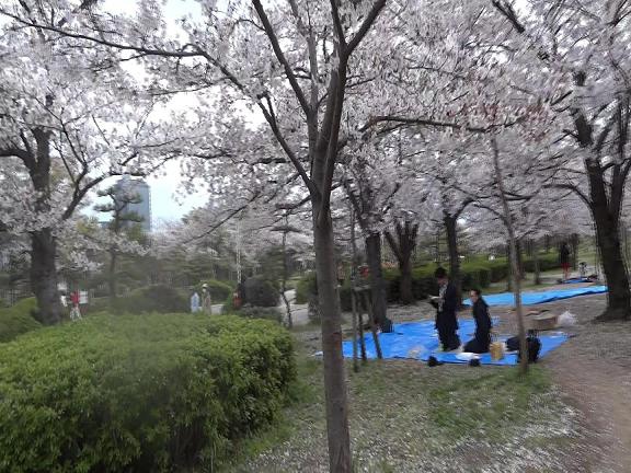 [2014-04-04] 花見をするため先に空き地を取ってる会社員たち