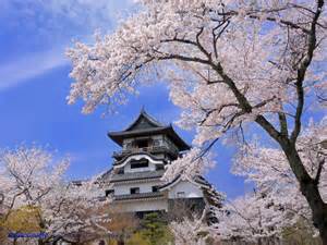 thSVZMK99M thSVZMK99M