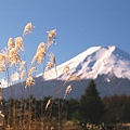 FUJI.JPG