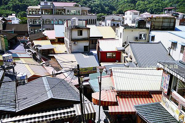 P1000100 P1000100