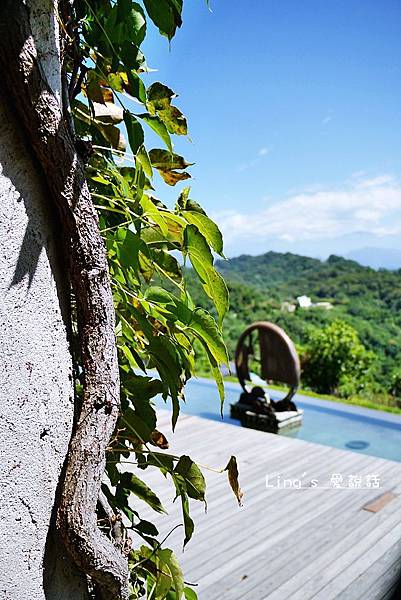 P1000314 P1000314