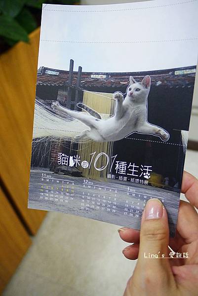 P1010293 P1010293