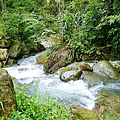 P1000488