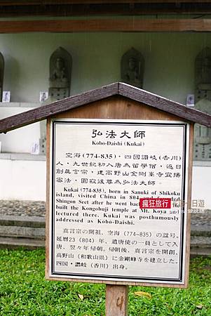 P1010721 P1010721
