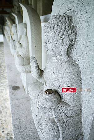 P1010726 P1010726
