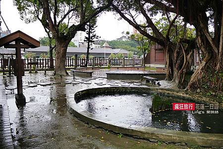 P1010827 P1010827