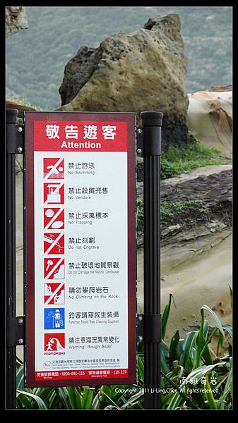 南雅P1000607 南雅P1000607