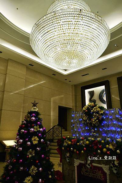 P1000204 P1000204