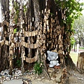 P1000366
