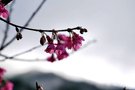 P1000102 P1000102