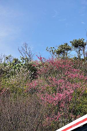 P1000112 P1000112