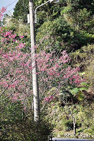 P1000149 P1000149