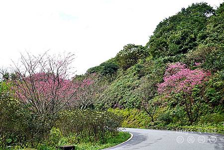 P1000205 P1000205