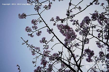 P1000352 P1000352