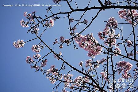 P1000371 P1000371