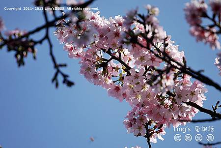 P1000372 P1000372