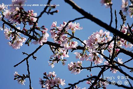 P1000374 P1000374
