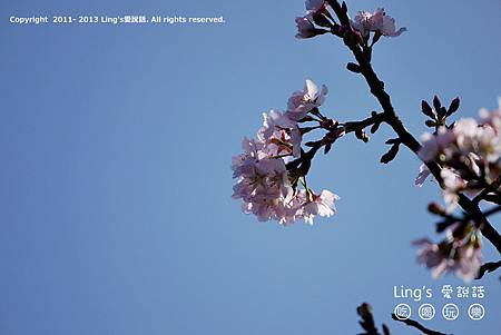 P1000375 P1000375