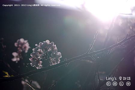 P1000381 P1000381