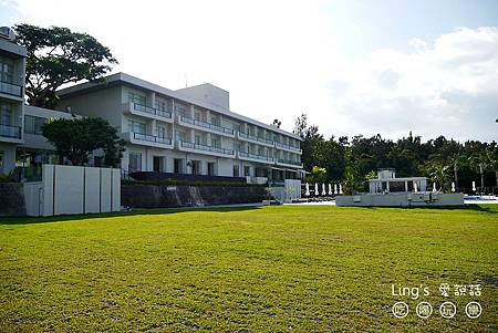 P1010874 P1010874