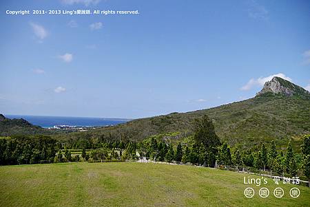 P1010911 P1010911
