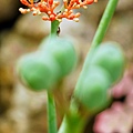 P1000502