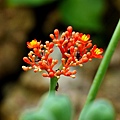 P1000503