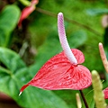 P1000504
