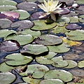 P1000518