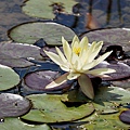P1000519