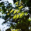 P1000544