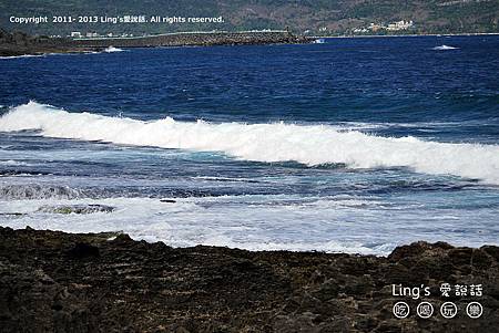 P1000555 P1000555
