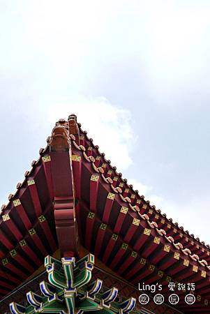 P1000376 P1000376