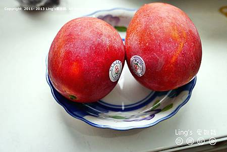 P1000614 P1000614