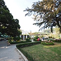 P4280539.JPG