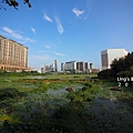 P4280546.JPG