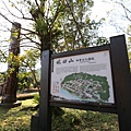 IMG_3601.JPG