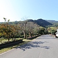 IMG_3605.JPG