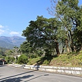 IMG_3606.JPG