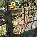 IMG_3623.JPG