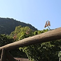 IMG_3641.JPG