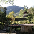IMG_3645.JPG