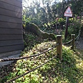 IMG_3648.JPG